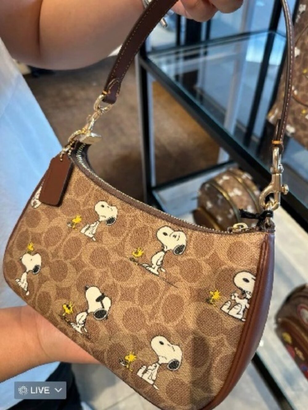 Coach X Peanuts Teri Shoulder Bag in Signature Canvas With Snoopy  Print (CBJ88)